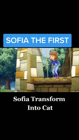 #SofiaTransformIntoCat #Sofia #foryou  #SpeedUpYourAwesome  #fyp  #fy  #kidsofficial  #cat #clovertherabbit  #kidsofficial  #Disneyjunior #SofiaTheFirst #kidsonly #hashtags #Disney