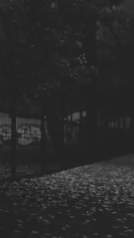 #عبارات_حزينه #فيديوات #فارغه #للتصميم #وينهم_خبره اشمر عباره  والحلوه  اثبتها