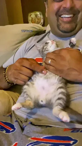 Previous!#fosterkittensoftiktok #foryou #fyp #adoptdontshop #spayandneuter #fosteringsaveslives #kittensoftiktok #hedoesntlikecats #Love