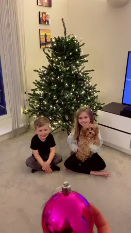 #christmas2021 #deckthehalls #cavapoo