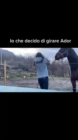 Quando è fermo da tanto tempo:😂 #fyp#perte#cavallo#cavallo#horse#horses#equitazione#ridinghorse#horseriding#equestrian#equestriangirl#cavallopazzo