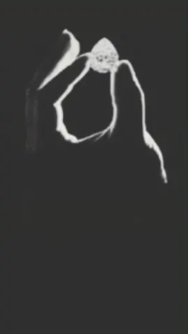 #عتيبه_الهيلا_روق_برقاء_فلو_متابعه_لايك_من الدلع والوصايف وافرن قسمه_يطلع#اكسبلور_explored