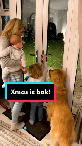 Happy even when it’s cold😀 #christmascountdown2021 #goldenretriever