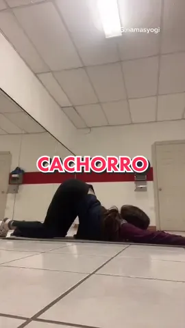 Responder a @la.noviade.ellie el perrito 🐶 #cachorro #puppypose #yoga #namasyogi #hazloya #fypシ #aprende #CreandoParaAyudar