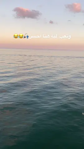 لومفيش سمك في البحر  في فالجردل 😂😂😂😂