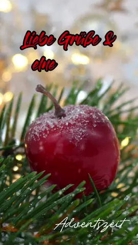 Schönen Montag #morgengrüße #advent #woche #adventszeit #fürdich #MacysGiftTok