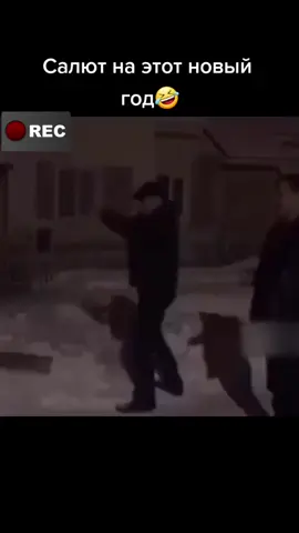 #бюджетныйсалют🤣🤣 #новыйгод#прикол #рекомендации