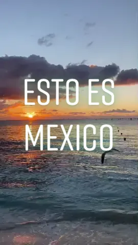 Lugares que Enamoran en la Riviera Maya #travel #viaje #viajes #paraiso #mexico #tiktoktravel #tiktokviajes #rivieramaya #tipsdeviaje #anecdotas #fyp