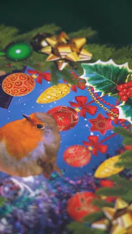 Whether it's a simple logo, or complex photographic design, trust #Supacolor  to bring your artwork to life with stunning vibrancy! #heatpressprinting