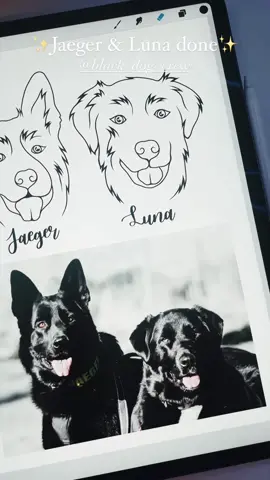 ✨custom simple line pet portraits✨ link in bio #zenspiredesigns #illustrator #SmallBusiness #holidaygift #fyp