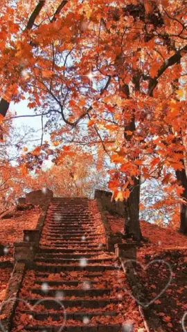 #ДоброеУтро #СчастливойЗимы#Пожелания