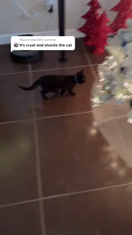 Reply to @latsyrc66 this was him a few seconds after, as you can clearly see he learned to avoid the mat! What’s really cruel is putting animals at risk by to not learning boundaries! #scatmat #naughtycat #christmastree #cat #kittycat #kitty #NBCAnnieLive #GiveWithAllYourHeart #catoftiktok #cartok #scaredcat #scaredcatchallenge #blackcat #blackcatsoftiktok #christmas #blackcatsaregoodluck