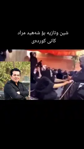 شینو تازیە بۆ شەهید بۆ مراد کان کوردە #شیخ #فۆلۆمان_بکەن_بۆ_بێنینی_جوانترین_پۆست