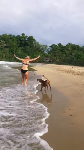 Livin #studyabroad #panamalife #beachdays