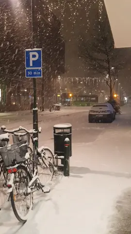 اجواء الشتاء . جنوب السويد . ثلوج . الساعة السابعة صباحا . الذهاب للعمل