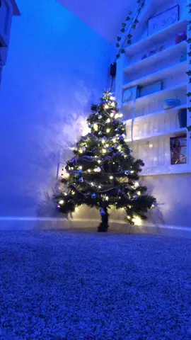 Arch check #ballet #point #pointshoes #dance #fyp #foryoupage