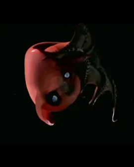 Vampire squid 🦑#ocean #sea #oceanlife #animals #wildlife #foryoupage #vampire #squidgame