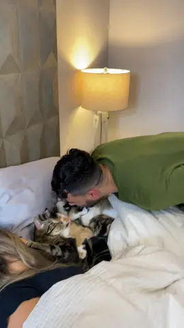 So rude! #fyp #foryou #foryoupage #catsoftiktok