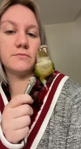 I love nothing more than badly beatboxing for angus #amgus #angusmcbangus #TheSplashDance #pet #bird #parrot #dance