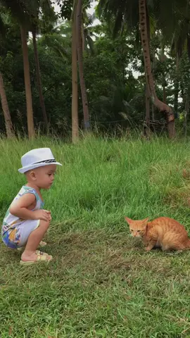 Brave boy play with the cat, 😸 meow! #funnykid #funnykids #2yearold #babyboy #cat #fyp #fypシ #tiktok #provincelife