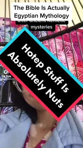 #greenscreenvideo not a good look to post Hotep (Jewish erasure) content during Hanukkah, @Vy #conspiracy #hotep #jewish #egypt #History #bible