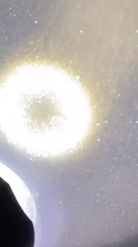 Phytoplankton attracted to our lights in undersea habitat #underwater #phytoplankton #sea #ocean #aquanaut #marinebiology