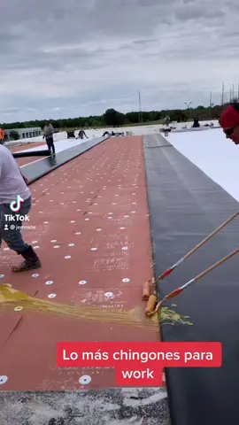 #SpotifyWrapped#fypシ#foryou#AmazonMusicJingleBellTok