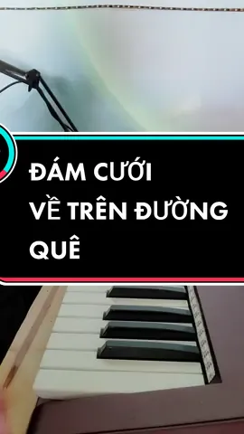 Vui Trong Ngày Cưới , Nhạc Sống Hà Tây #xtorgan #organonline #mcdamcuoi #