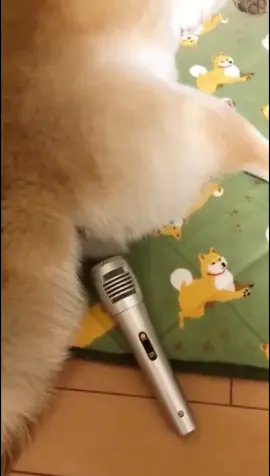 #foryou #fypシ #foryoupage