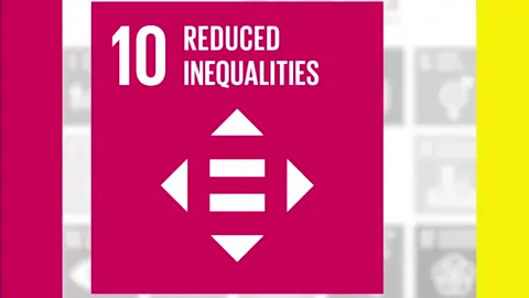 SDG - 10 REDUCED INEQUALITY INTRODUCTION #SDG #reducedinequalities #fyp