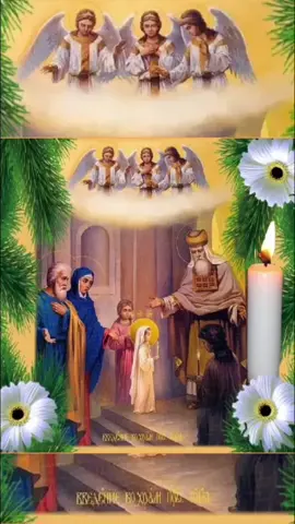 #4декабря #ВведениевохрамПресвятойБогородицы