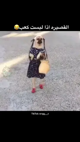 😂😂😂 #الشعب_الصيني_ماله_حل😂😂 #اضحك #وناسه