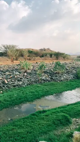 #محايل_عسير #وادي_تضبي                  ومن جانا وله حاجـہ ، نسد ونطلق حجاجـہ ،دوا المضيوم وعلاجـہ ، طبيعه مانخليـہا .