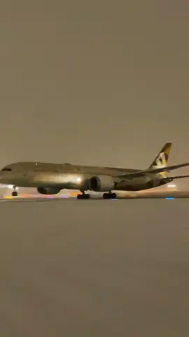Etihad Airways отныне летает в Шереметьево 🥳 #aviationvideo #небонутые #самолеты #aviation #svo #красивыйсамолет #etihadairways #etihad
