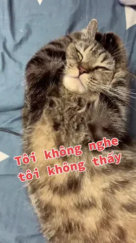 Tôi không nghe tôi không thấy tôi không tin những gì em đang tâm lừa dốiii #tiktok #unghoangphuc