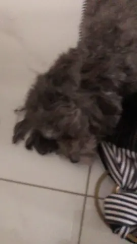 she moved her head but she dw move 😒