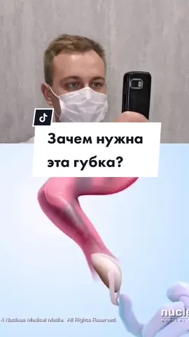 Коннор загуглил не ту губку 🤫