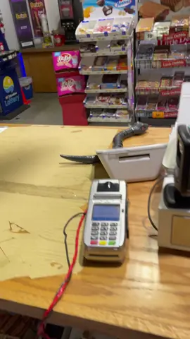 Snake prank!!