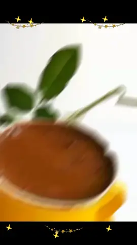 Доброе утро!