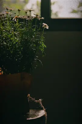 Ngày mai sẽ tới 💗