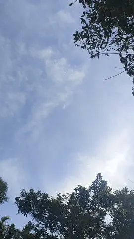 เล่นว่าวโต้ลมหนาว จ.ตราด