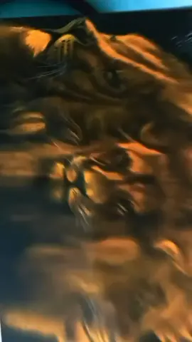 btw bantu like dong gais di akun ig aku klik aja di profil. doain menang😁