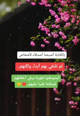 💐💐#اكسبلور #مشاهير_تيك_توك #فولو_بليز #foryou #ألمانيا #هولندا #تركيا #العراق #السعودية #سوريا