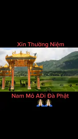 cố gắng làm những gì thầy chỉ dạy nhá đồng đạo,Lời Thầy Chỉ Quá Là Cận Kẻ#🙏🙏#