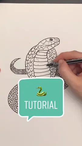 @ayooxleni11 antworten 🐍🥰 #tutorial #schlange #kobra #arthacks #teiledeinwissen #lernenmittiktok #zeichnen #malen #zeichentutorial #zeichnenlernen