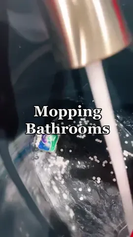 This smelled amazing 🤩 #mop #moptok #mopping #moppingfloors #CleanTok #cleaningtiktok #asmr #asmrsounds #moppingasmr #tiktokmademebuyit