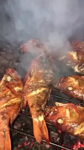 #ikanjemBatanpuri#sorongkotabajinggan😎🏍️🇹🇱🇵🇬🇵🇷🇨🇺