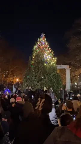 If one goes out they all go out🤣🤣 Credit: Instagram/ @itsgoingwell & @WhatIsNewYork #dailymail #lol #christmas #fail #epicfail #funny #christmastree