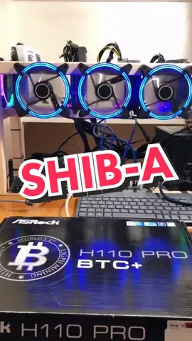SHIB going to skyrocket soon??! 🚀🔥 #shiba #cryptoprediction #cryptoarmy #altcoin #viral #cryptoupdate #cryptocrash #shibainu #memecoin #bullrun