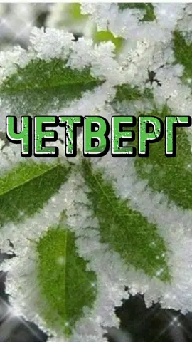 #доброеутрочетверга